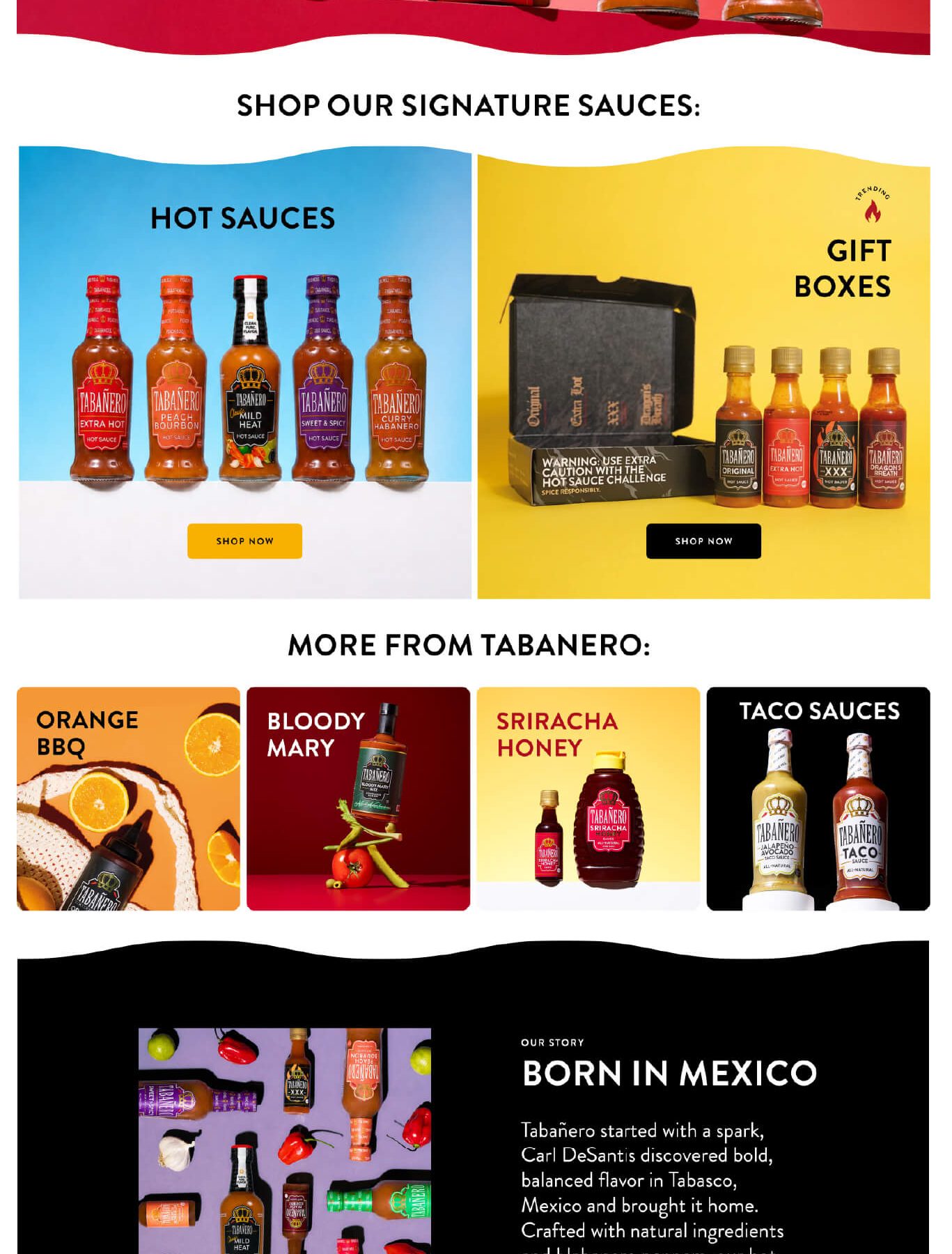 Tabanero FULL Brandstore (1)