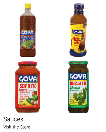 Goya Slide 4