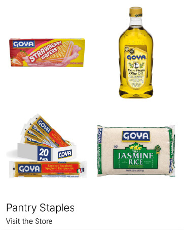 Goya Slide 8