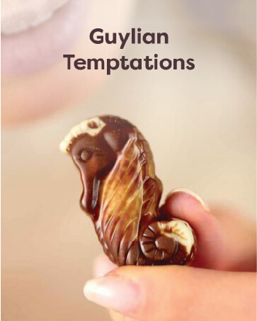 GuylianSlide 5